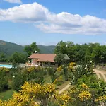 Micro Rotativa * Bragança