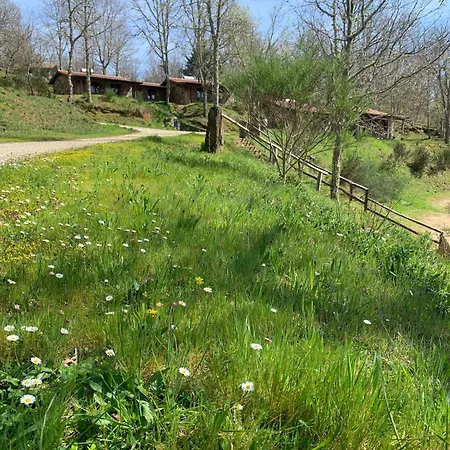 Glamping Micro Rotativa