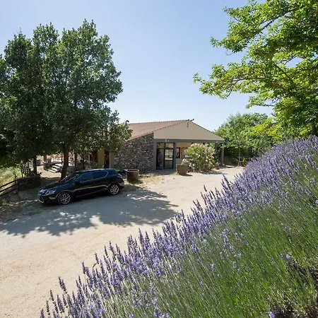 Micro Cabana Rotativa Luxuszelt