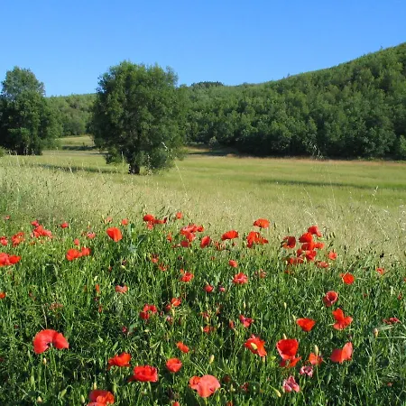 Micro Rotativa Tente de luxe Bragance