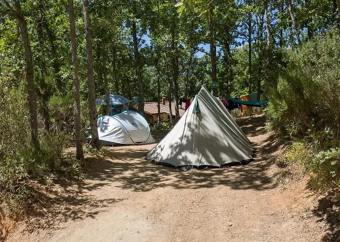 Micro Rotativa Bragança