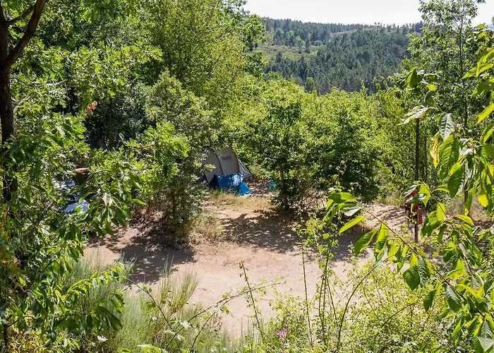 Micro Rotativa Bragança