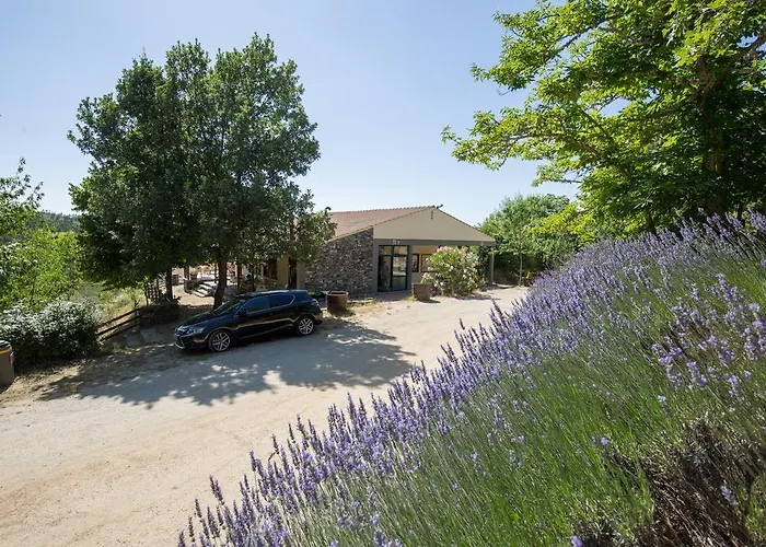 Micro Rotativa Luxussátor