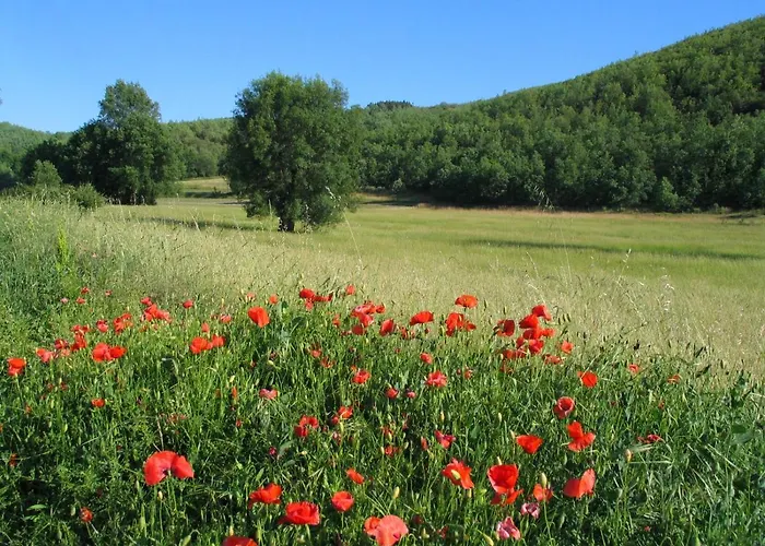 Micro Rotativa Glamping Bragança